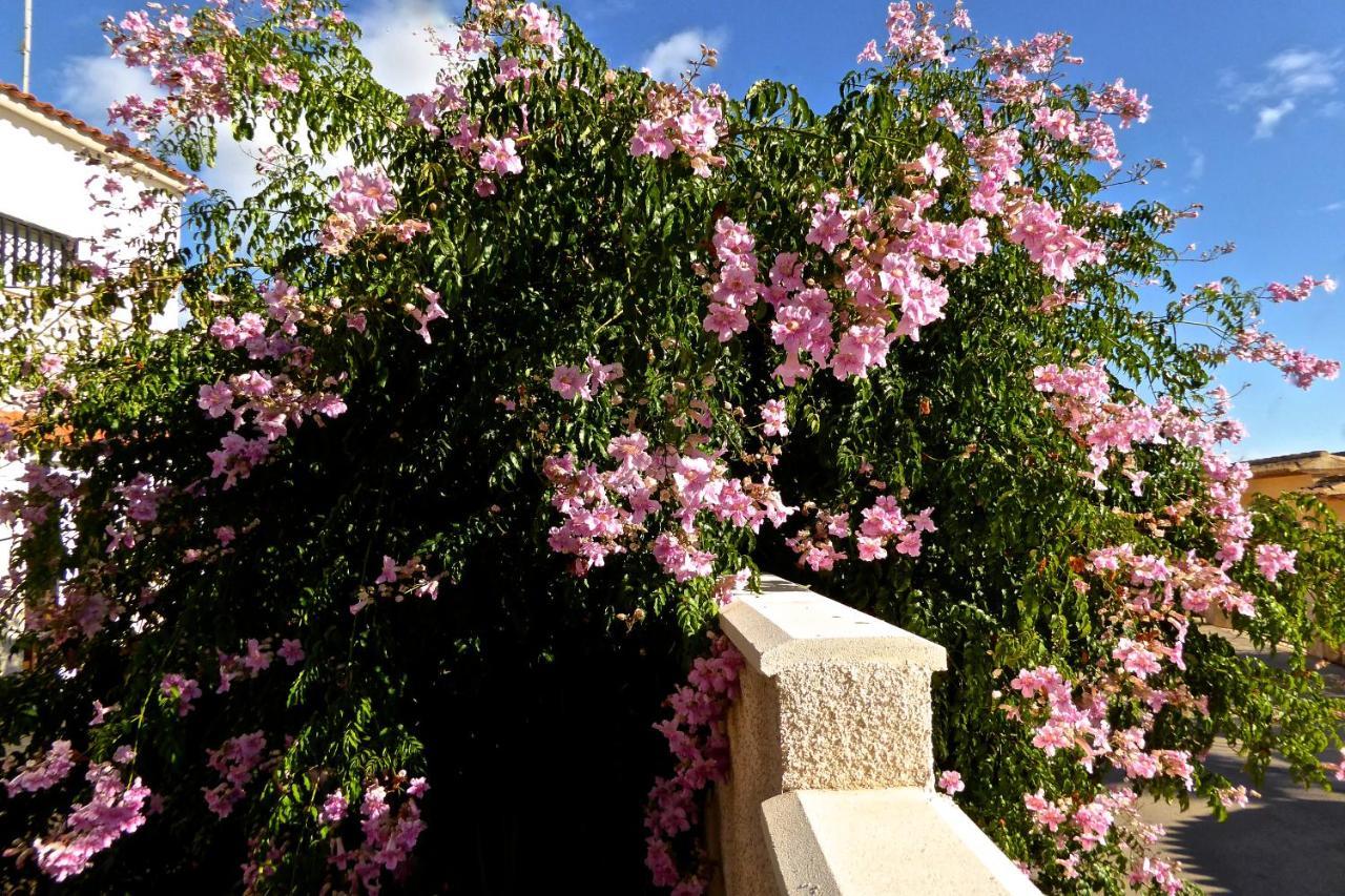 Villa Benavero Boutique Style Within Fenced Tropical Garden Calpe Esterno foto