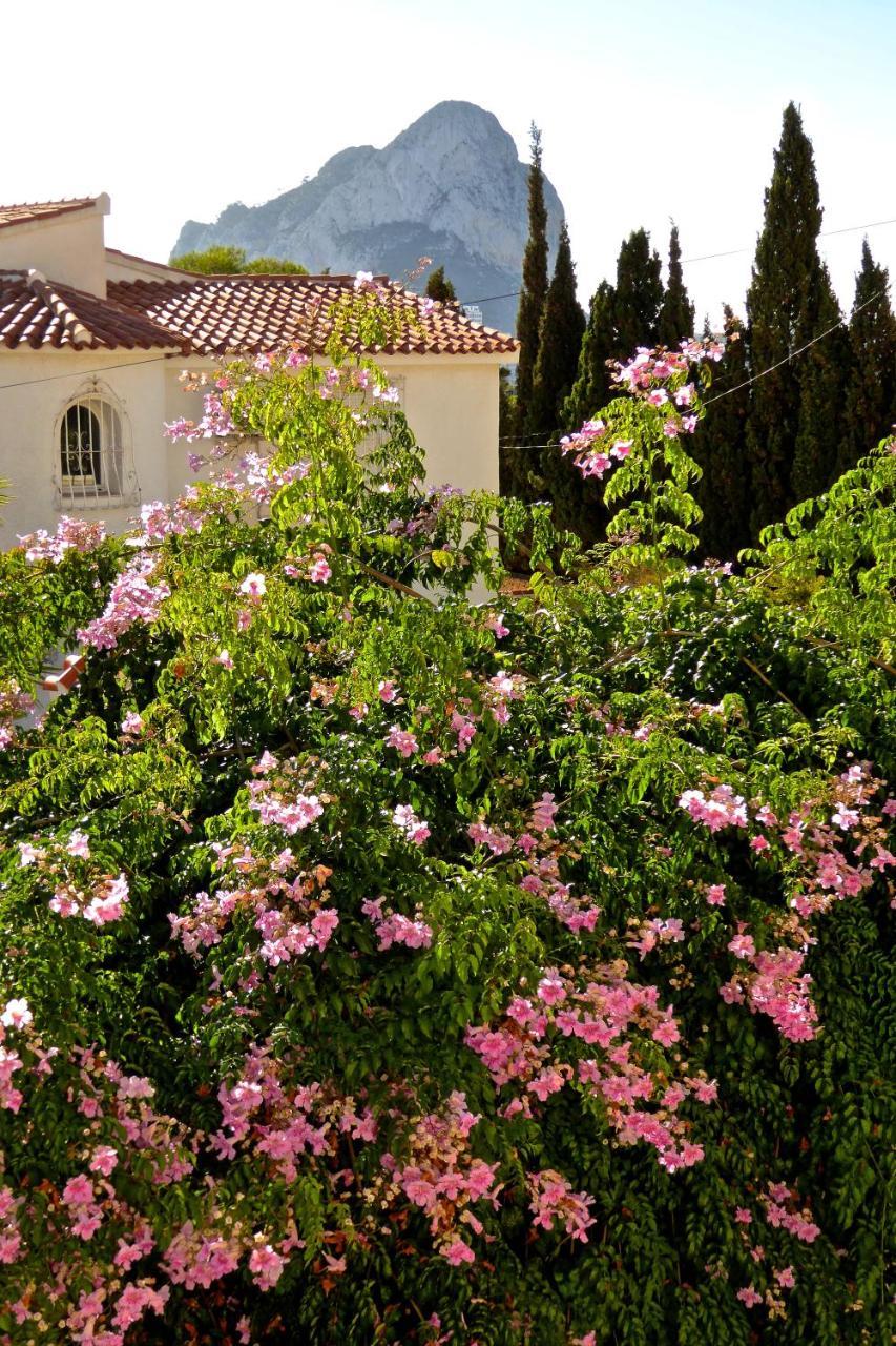 Villa Benavero Boutique Style Within Fenced Tropical Garden Calpe Esterno foto