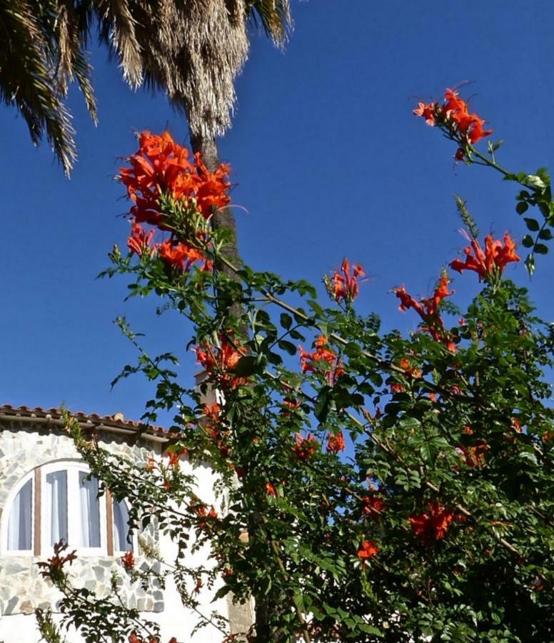 Villa Benavero Boutique Style Within Fenced Tropical Garden Calpe Esterno foto